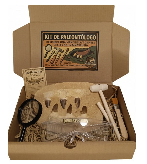 Kits de paleontólogo