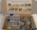 Caja regalo grande de fósiles marinos
