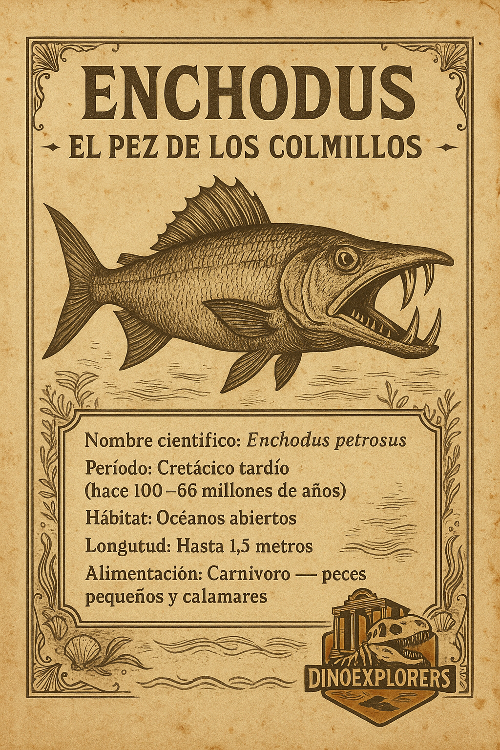 Diente de Enchodus