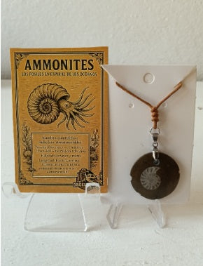 Colgante de Ammonites
