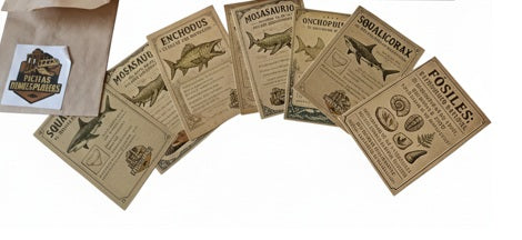 Kit DinoExplorers pequeño