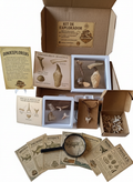 Kit Dinoexplorer mediano de dinosaurios marinos