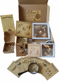 Kit DinoExplorer mediano de tiburones extintos