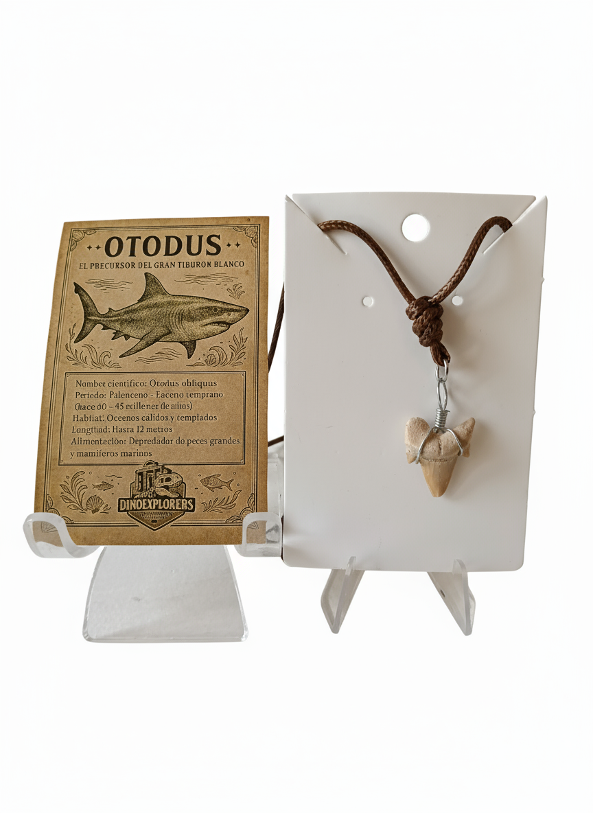 Kit Dinoexplorer mediano de dinosaurios marinos