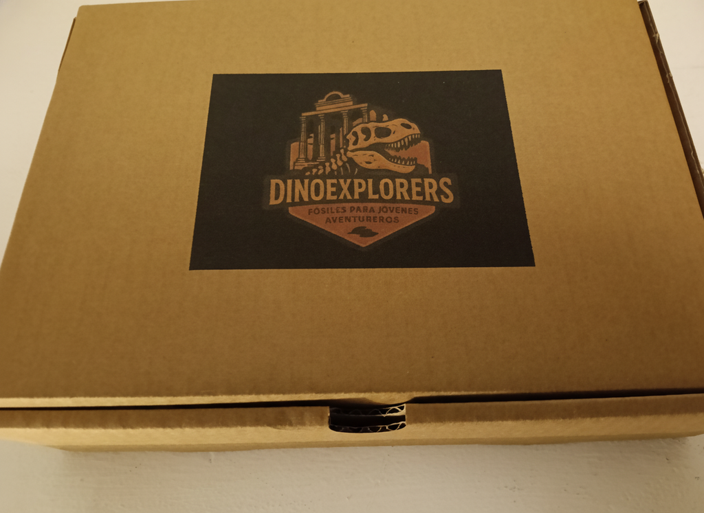 Kit DinoExplorers pequeño