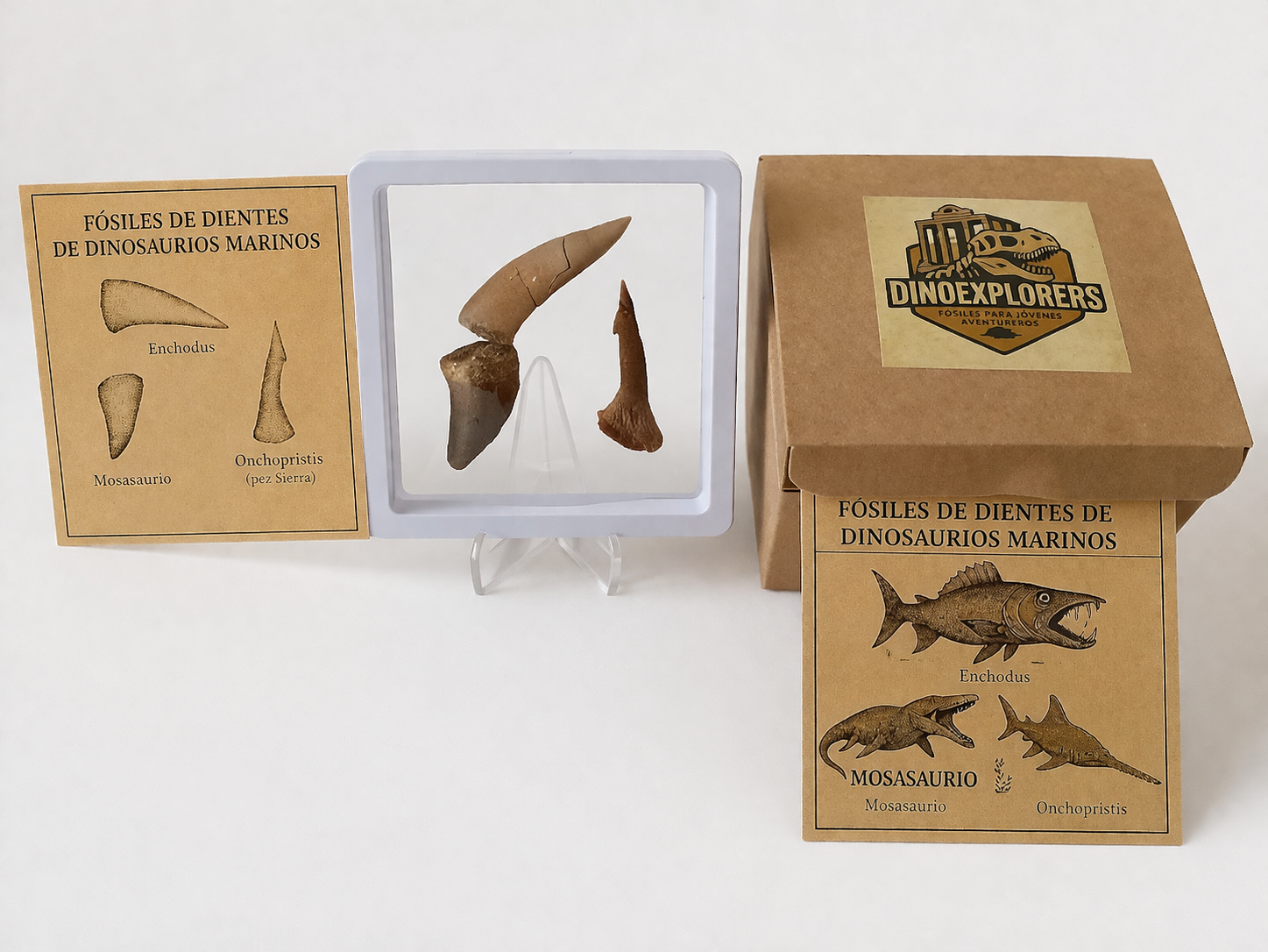Caja de Explorador Dinosaurios marinos