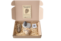 Caja colección trilobites