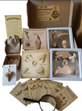 Kit DinoExplorers grande