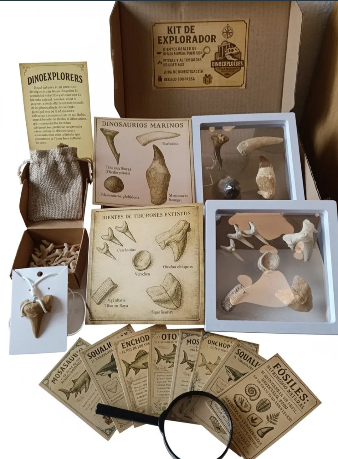 Kit DinoExplorers grande